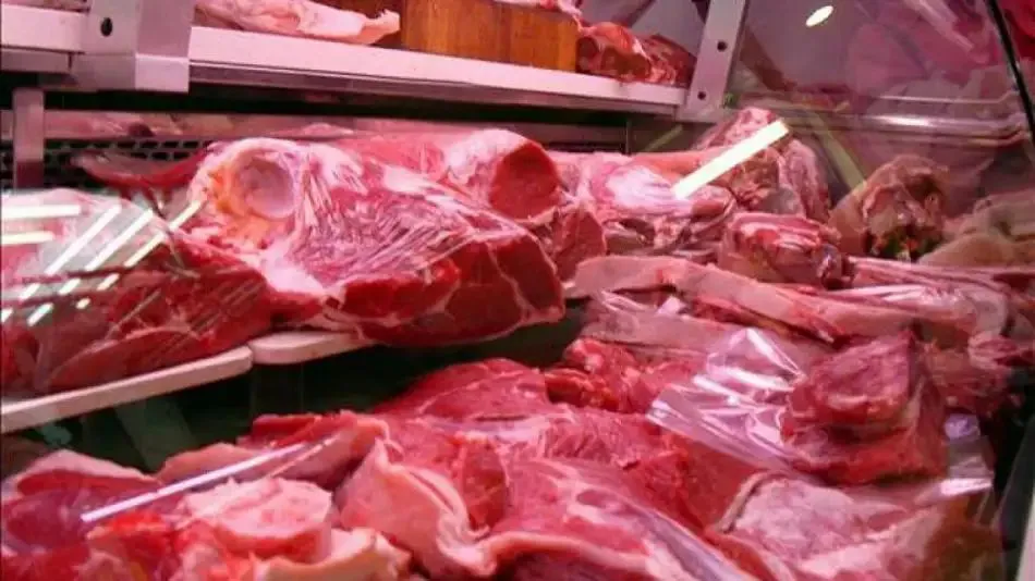 carne-1307