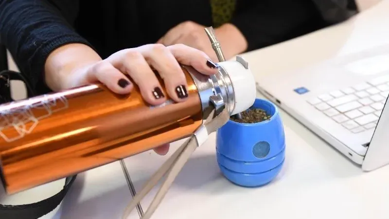 mate_crop1688481197752.jpg_674070907