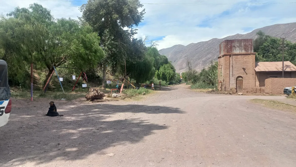 6d0720f1-4b3d-4c88-921a-5281d7c43beejpg