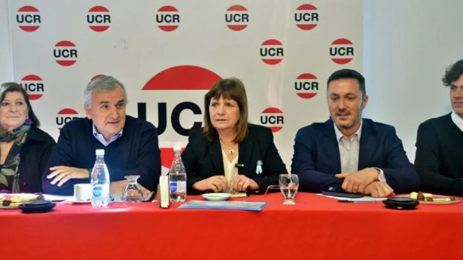 ucr-bullrich