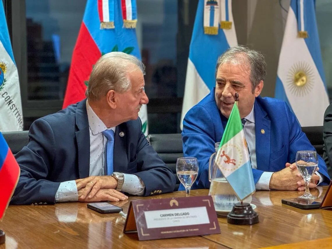 5-Jujuy-participa-de-la-57-reunion-plenaria-del-1140x855
