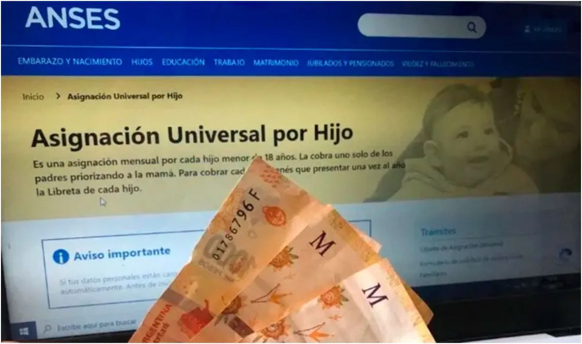 anses-asignacion-universal-hijo-auhjpg